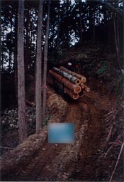 林内運搬イメージ