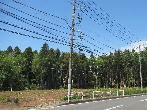 災害に強い森づくり事業の画像