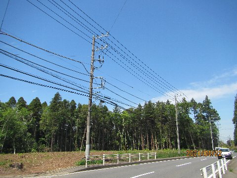 千葉市の取り組み後の状況画像