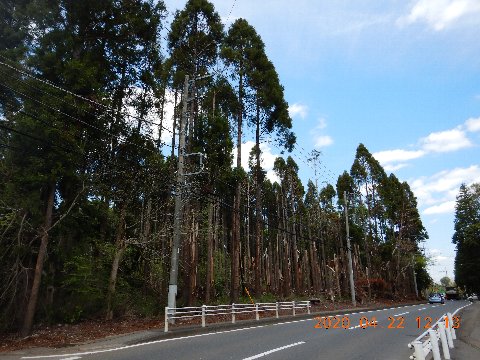 千葉市の取り組み前の状況画像