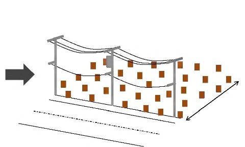 森林整備の遷移図（伐採）