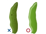 よいそらまめイメージ画像