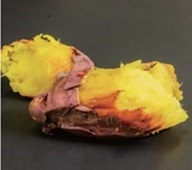 金蜜芋のミニパフェ