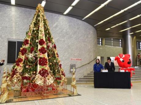 千葉県庁クリスマスツリー点灯式