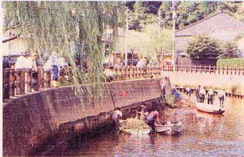 小野川と佐原の町並みの写真