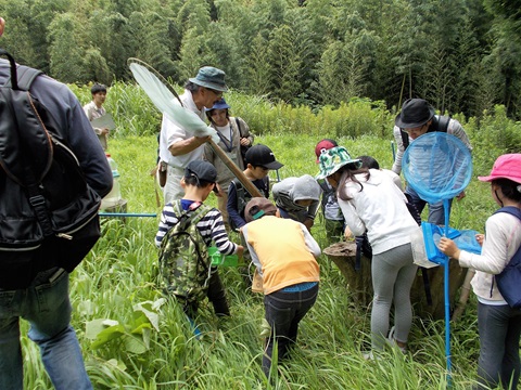 生き物調査を行っている様子