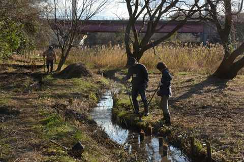 保全活動をしている写真