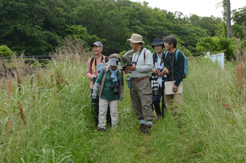 生き物調査をしている写真