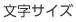 文字サイズ