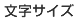 文字サイズ