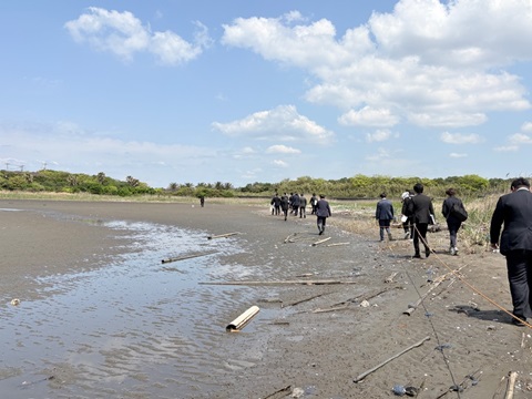 盤洲干潟（小櫃川河口干潟と三角州）の画像