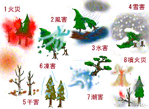 保険の適応される災害、火災、風害、水害、雪害、干害、凍害、噴火災