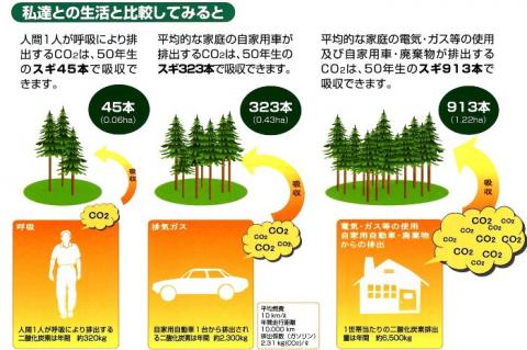 生活との比較