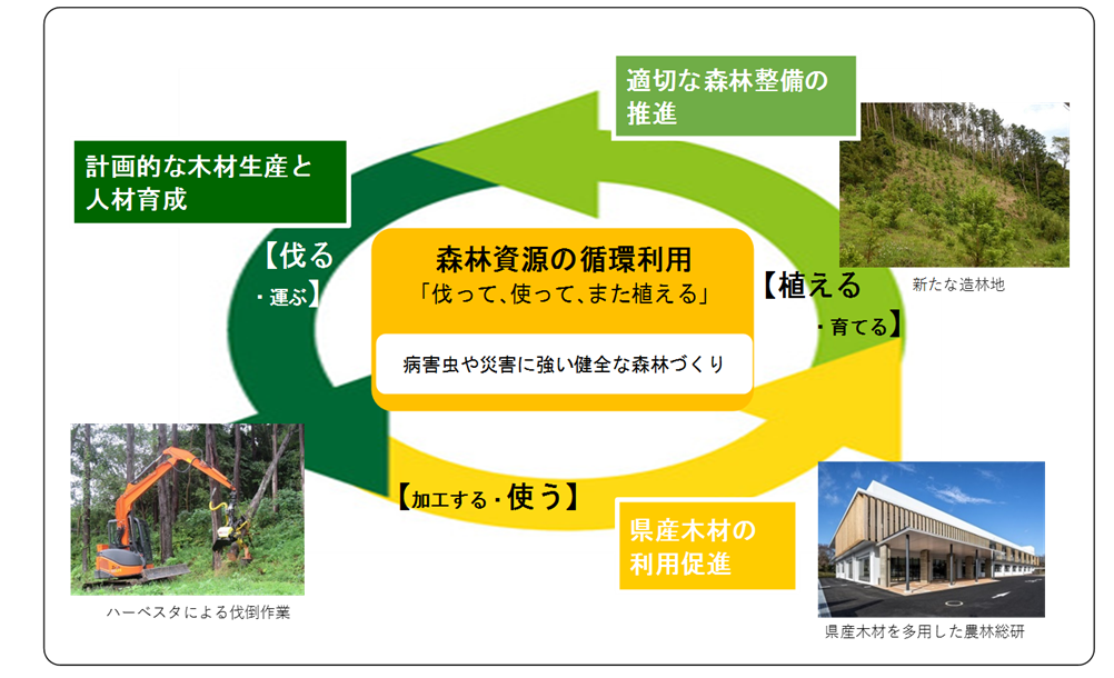 森林資源の循環利用(イメージ図)