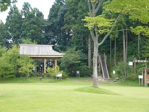 大多喜県民の森の芝生広場の写真