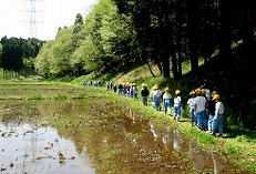 里山で遊ぶ小学生