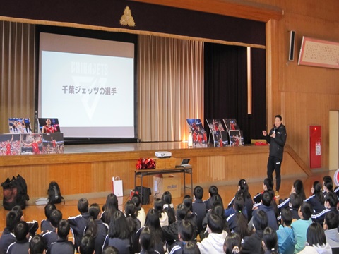 千葉ジェッツの紹介