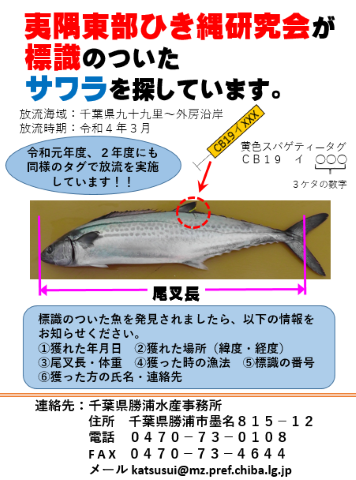 令和3年度サワラ標識放流ポスター