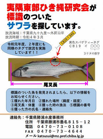 サワラ標識放流ポスター