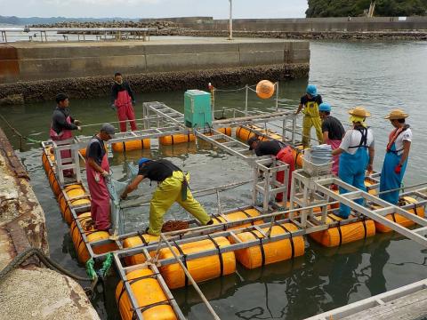 放流作業の様子