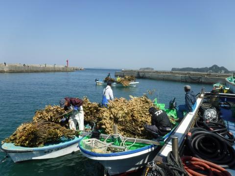 岩井漁業者グループ（産卵礁の積み込み