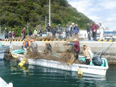 浜の情報とびうお通信 第156号 千葉県