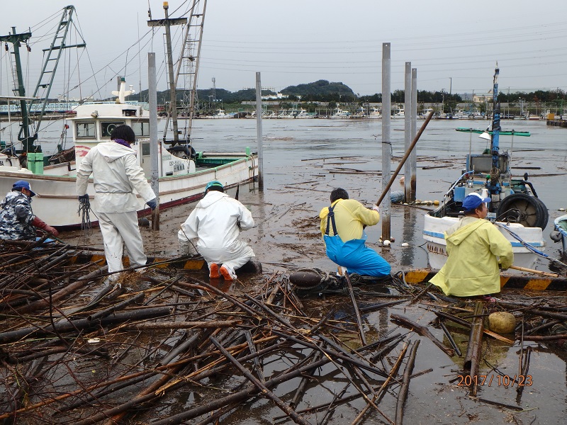 流竹木等による漁業被害2