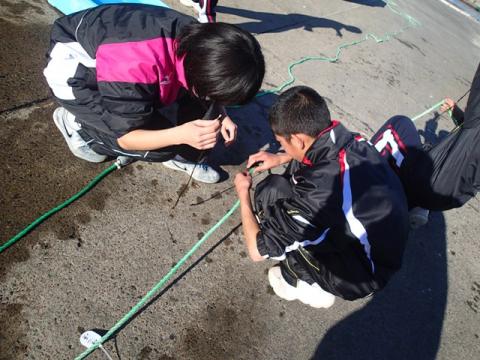 富浦地区の中学生が種糸を巻きつけている様子