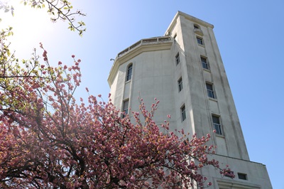 千葉高架水槽と桜の写真