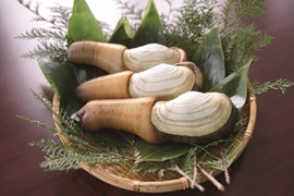 白ミル画像