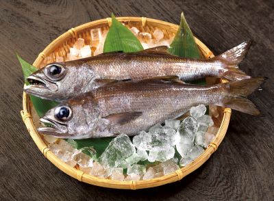 布良瀬一本釣くろむつ