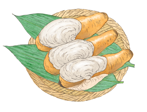 白ミルイラスト