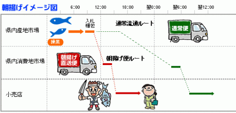 朝揚げイメージ図