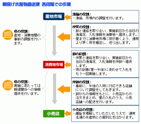朝揚げ水産物直送便、各段階での作業