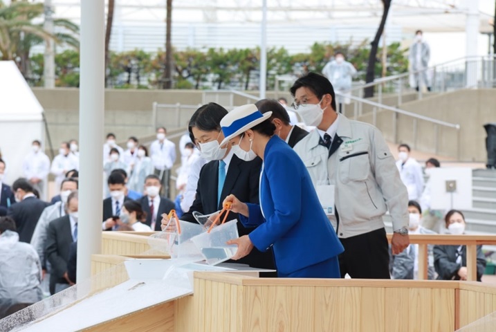 稚魚等御放流の様子