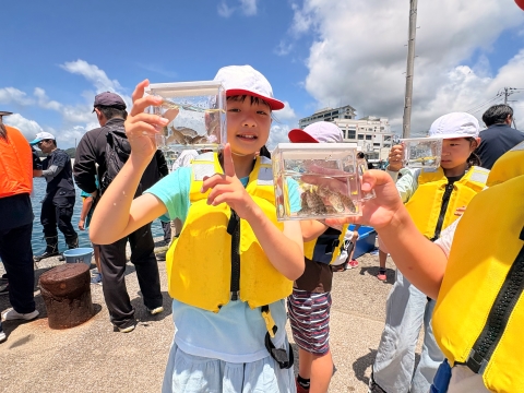 稚魚の観察の様子