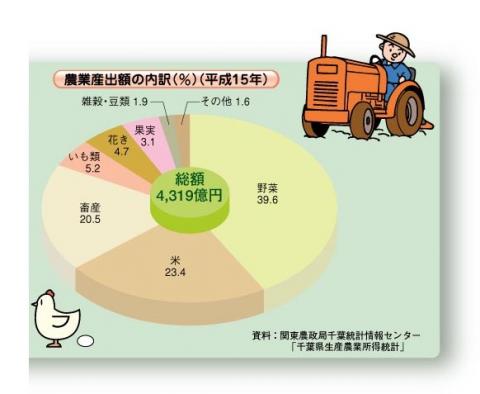 農業産出額の内訳（平成15年）