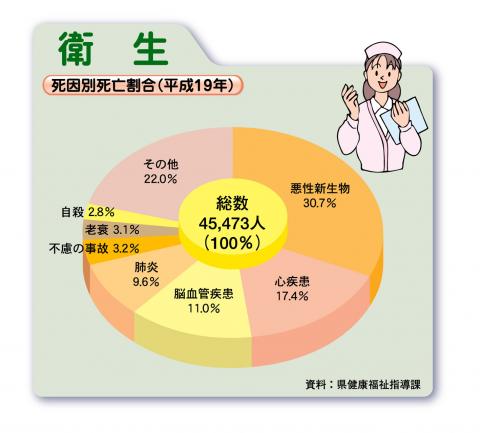 死因別死亡割合（平成19年）