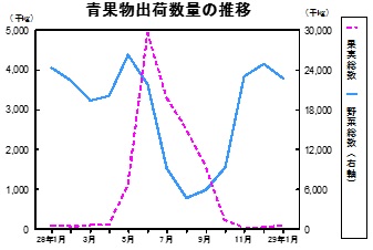 青果物出荷数量の推移グラフ