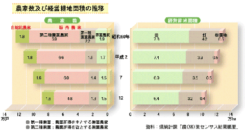 農家数及び経営耕地面積の推移