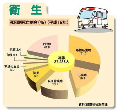 死因別死亡割合（平成12年）