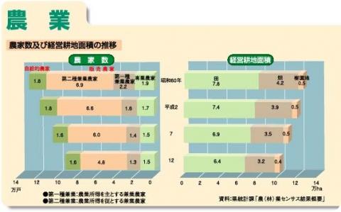 農家数及び経営耕地面積の推移