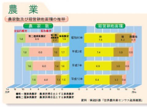 農家数及び経営耕地面積の推移