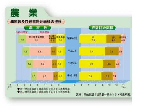 農家数及び経営耕地面積の推移