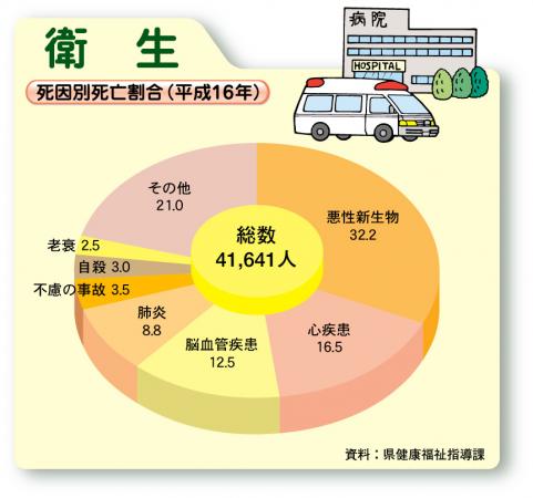 死因別死亡割合（平成16年）