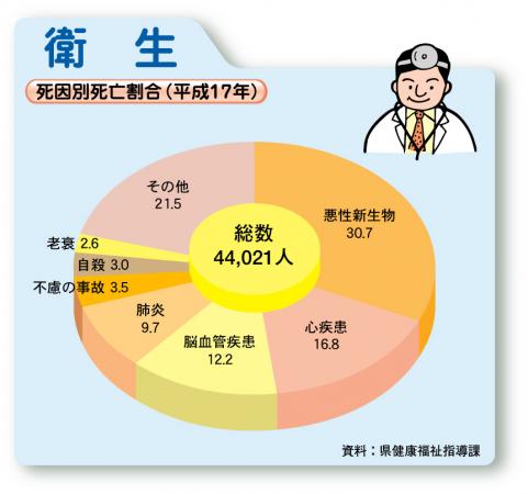 死因別死亡割合（平成17年）