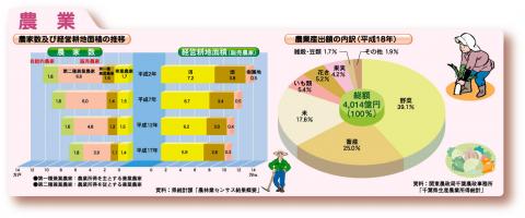 農家数及び経営耕地面積の推移