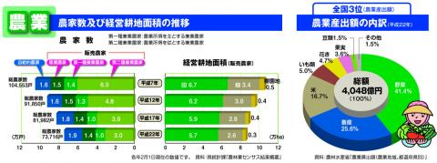 農業グラフ