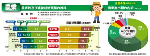 農業（農家数及び経営耕地面積の推移）グラフ