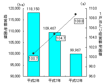 グラフ経営耕地面積と1戸当たり経営耕地面積